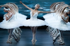 See the Ballet, Swan Lake
