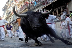 Watch Folks Run with Bulls in Spain
