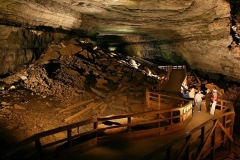 Explore the Mammoth Cave