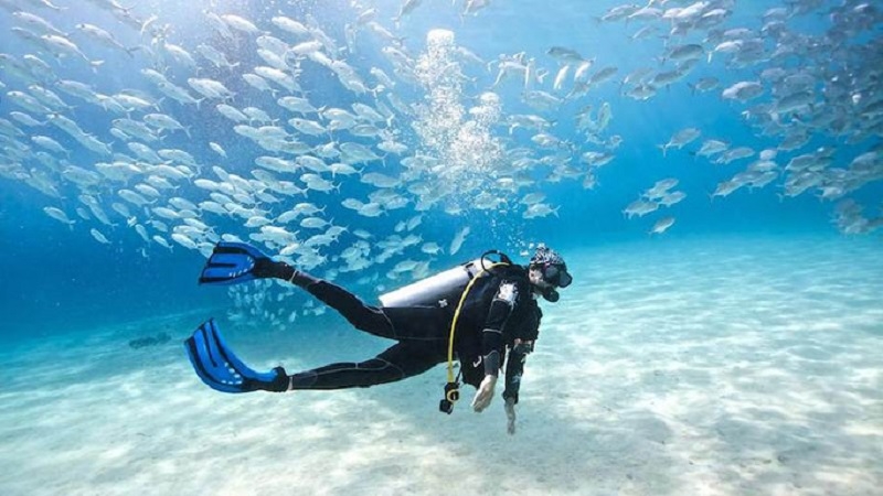 go scuba diving