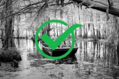 Complete: Go on a Swamp Tour