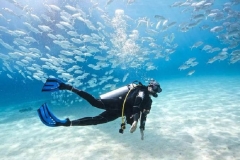 Go Scuba Diving